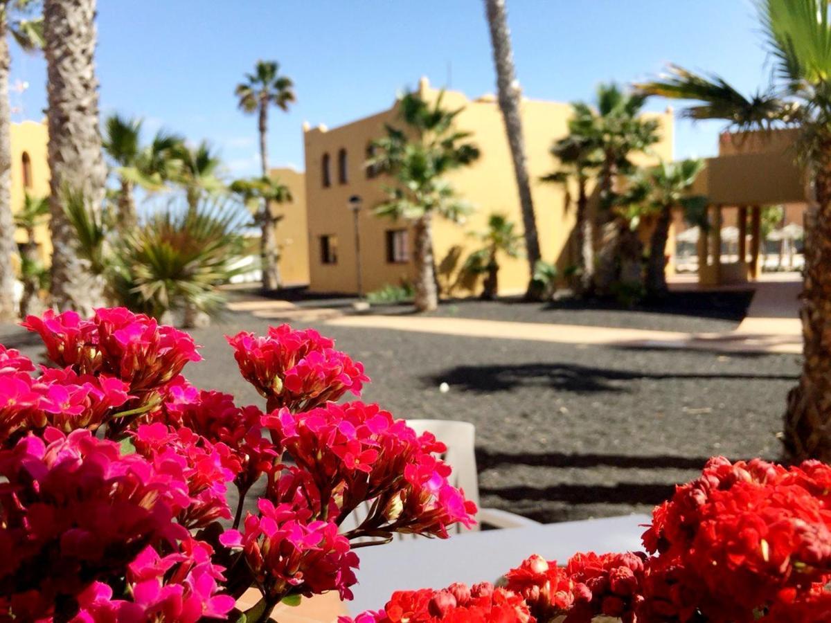 Casa Ledu - Sunny Holiday In Fuerteventura コラレホ エクステリア 写真