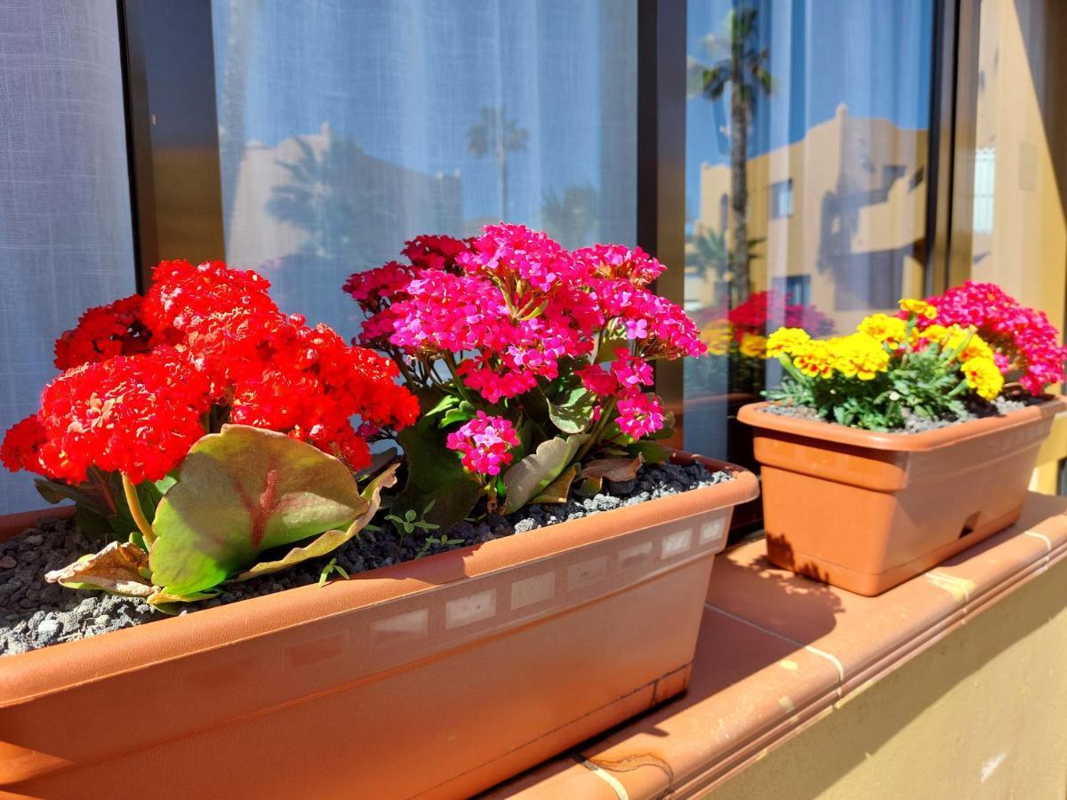 Casa Ledu - Sunny Holiday In Fuerteventura コラレホ エクステリア 写真